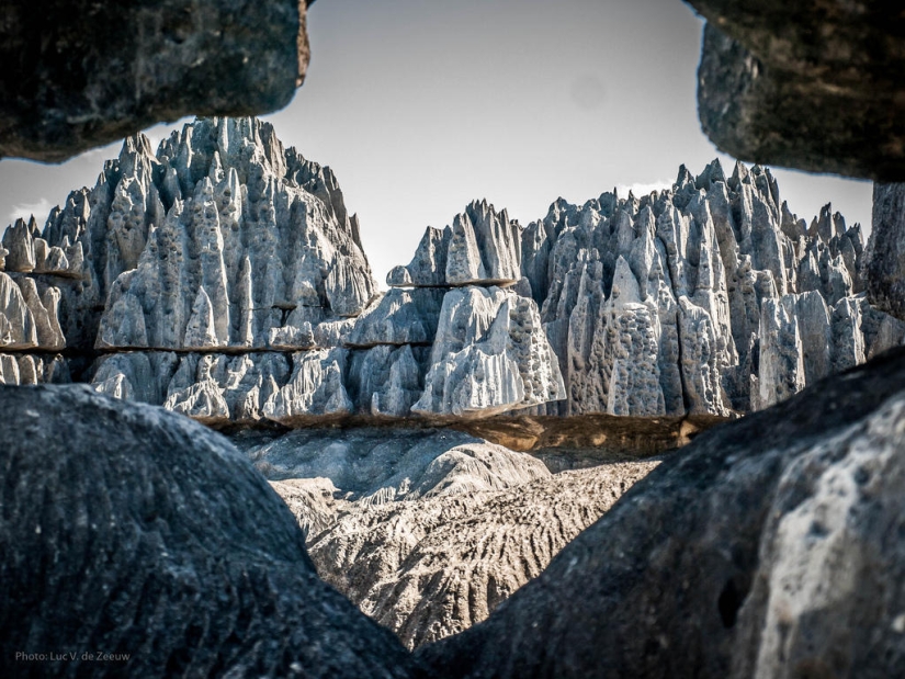 Stone forest in Madagascar