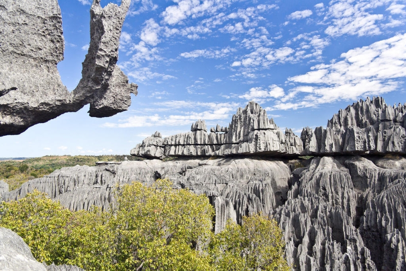 Stone forest in Madagascar
