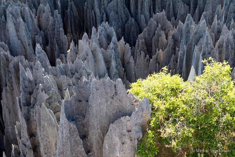 Stone forest in Madagascar