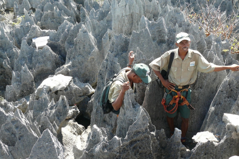 Stone forest in Madagascar