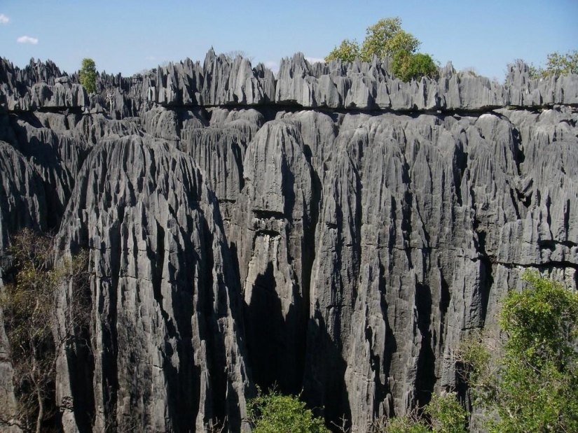 Stone forest in Madagascar