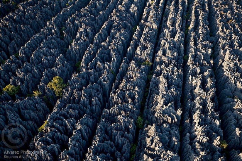 Stone forest in Madagascar