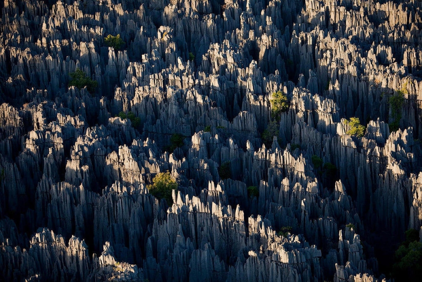 Stone forest in Madagascar