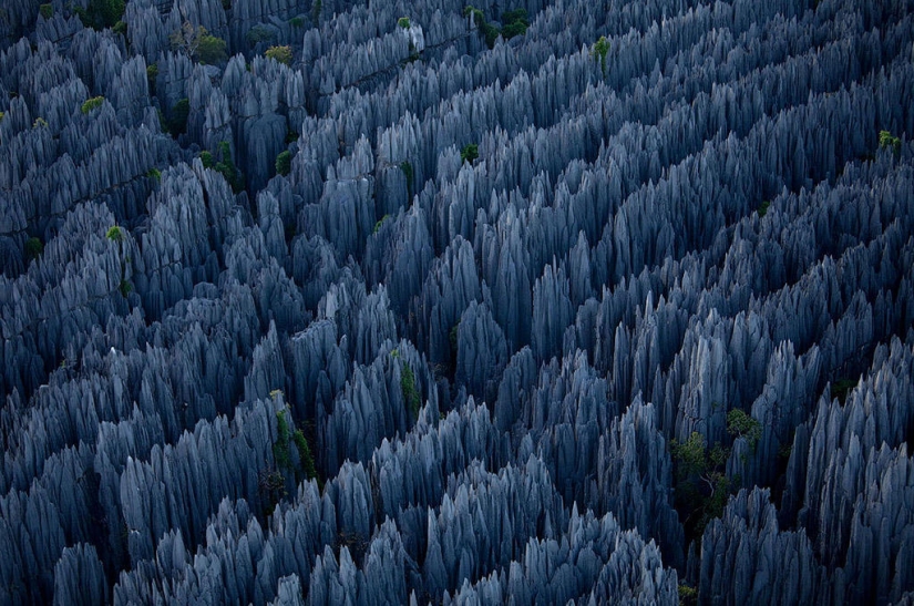 Stone forest in Madagascar