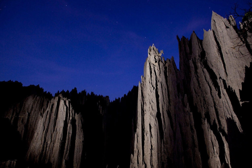 Stone forest in Madagascar