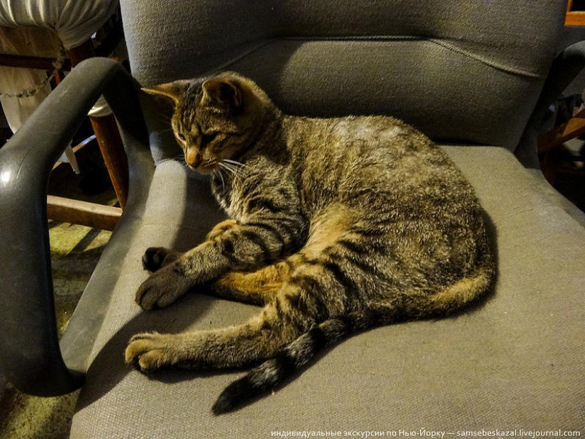 Store of used construction goods