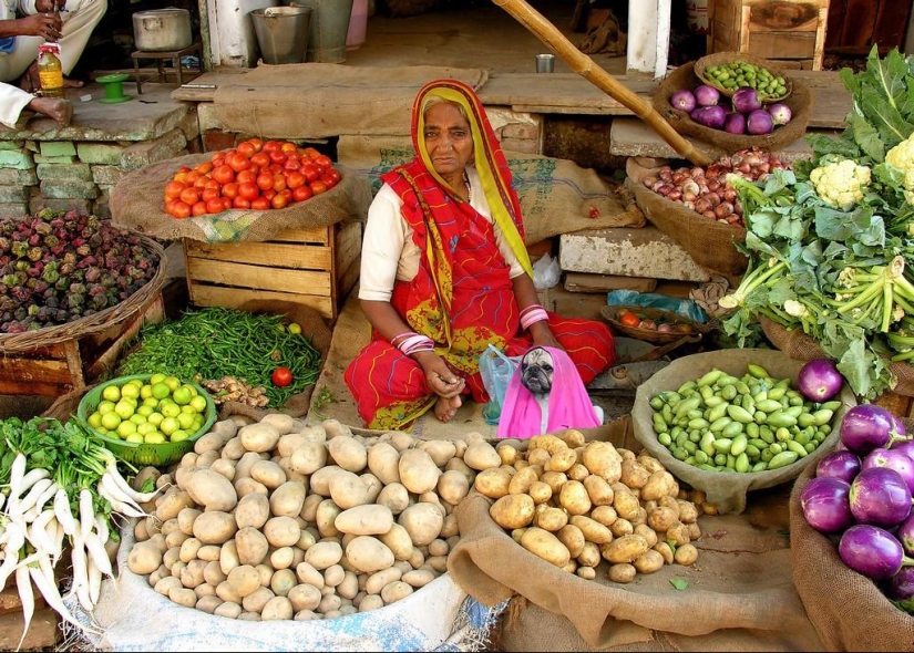 Street vending around the world