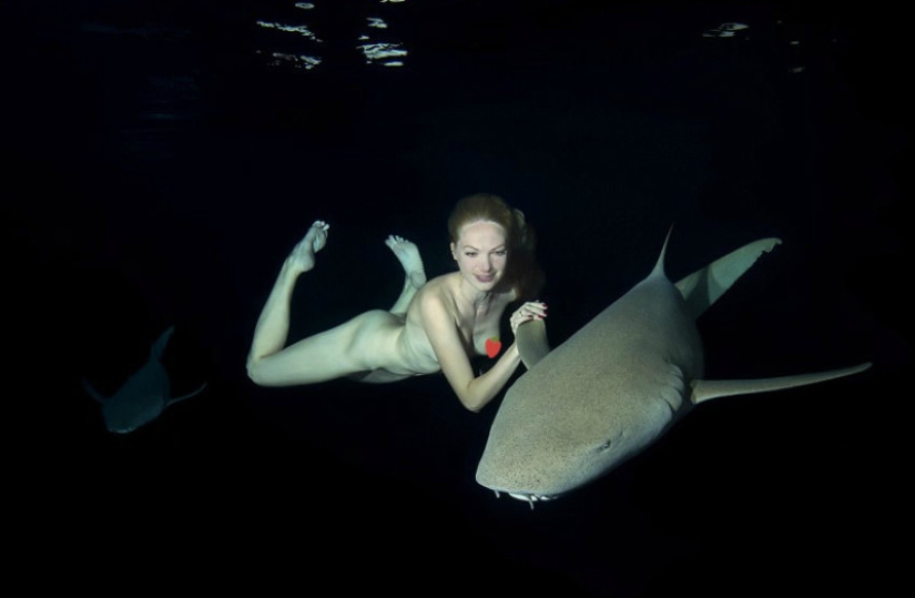 Stunning underwater footage: Nude Russian model swims with sharks