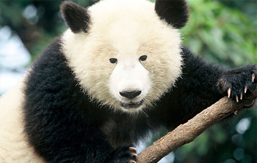 Sudden facts that you haven't thought about before