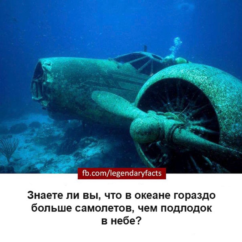 Sudden facts that you haven't thought about before