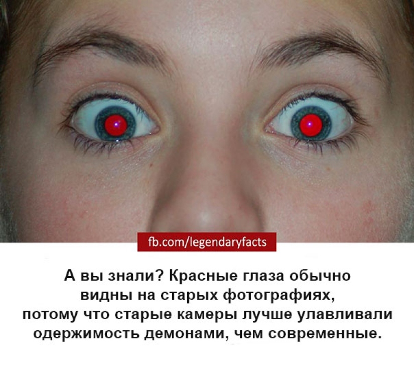 Sudden facts that you haven't thought about before