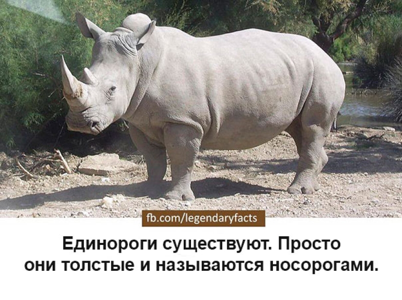 Sudden facts that you haven't thought about before