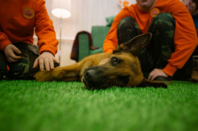"Sun for best friend": how dogs and young people with Down syndrome help each other "Sun for best friend": how dogs and young people with Down syndrome help each other