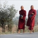 Sunrise over rice fields and monks feeding Sunrise over rice fields and monks feeding