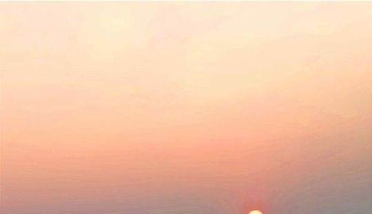 Sunset Stories: 17 Pics Of People’s Silhouettes, Plants And Insects By This Photographer