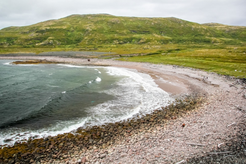 Surfing in Russia is a reality! Surfing in Russia is a reality!