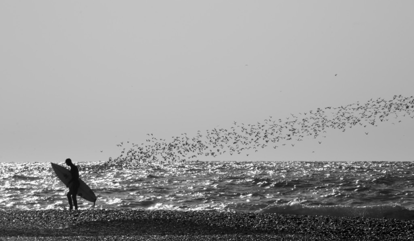 Surfing in Russia is a reality! Surfing in Russia is a reality!