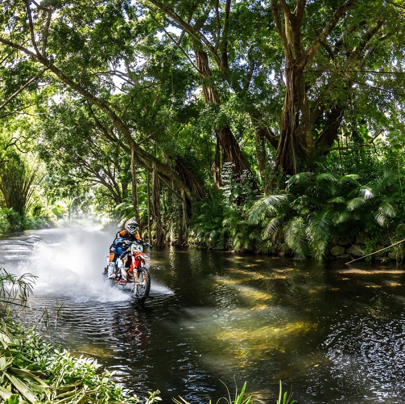 Surfing legend: Robbie Maddison rides a wave on a motorcycle