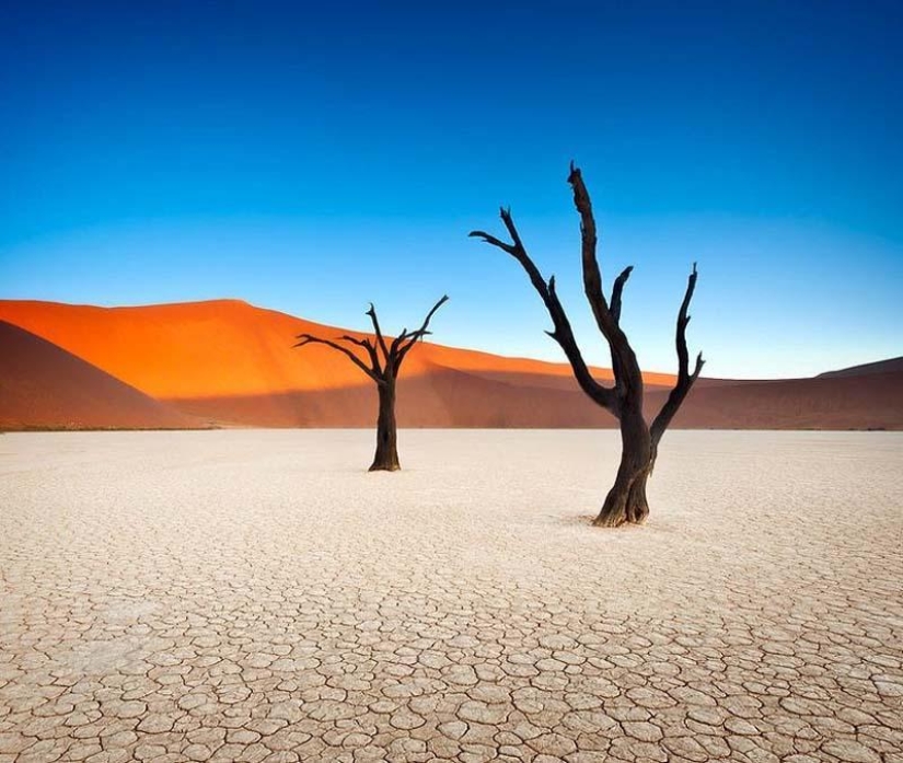 Surreal landscapes of the Namib-Naukluft park