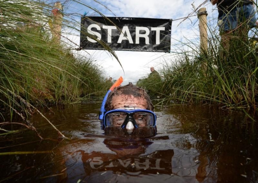 Swamp swim in Ireland Swamp swim in Ireland