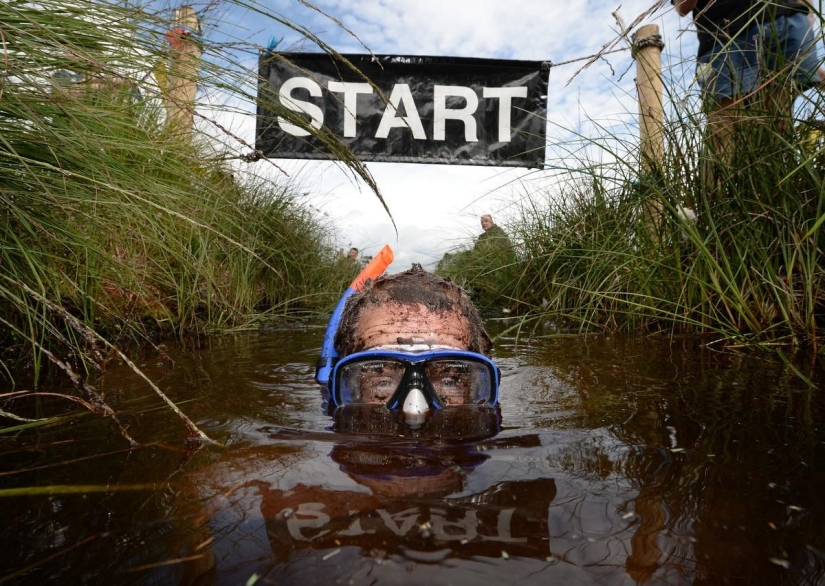 Swamp swim in Ireland Swamp swim in Ireland