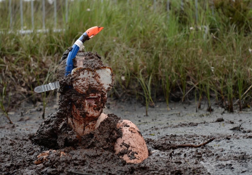 Swamp swim in Ireland Swamp swim in Ireland