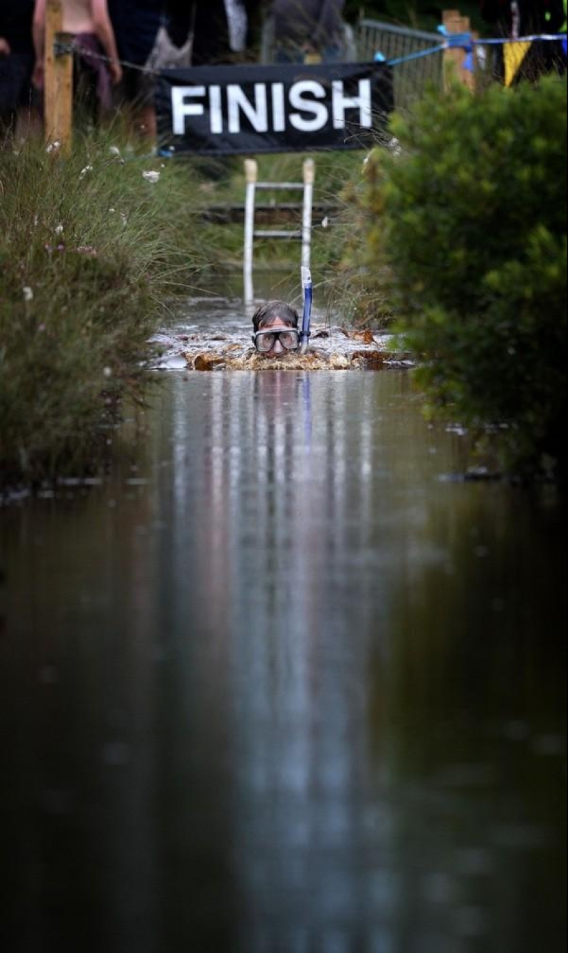 Swamp swim in Ireland Swamp swim in Ireland