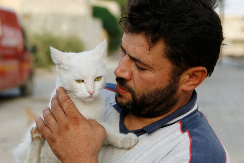 Syrian driver rescues abandoned cats Syrian driver rescues abandoned cats