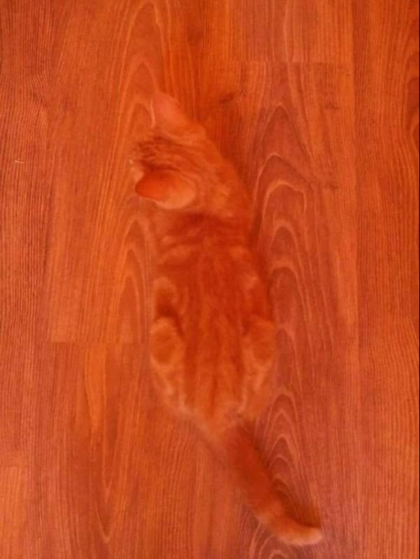Take a closer look: 19 frames in which something strange is happening