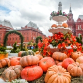¡Tanto pescado como carne! Festival gastronómico en Moscú!
