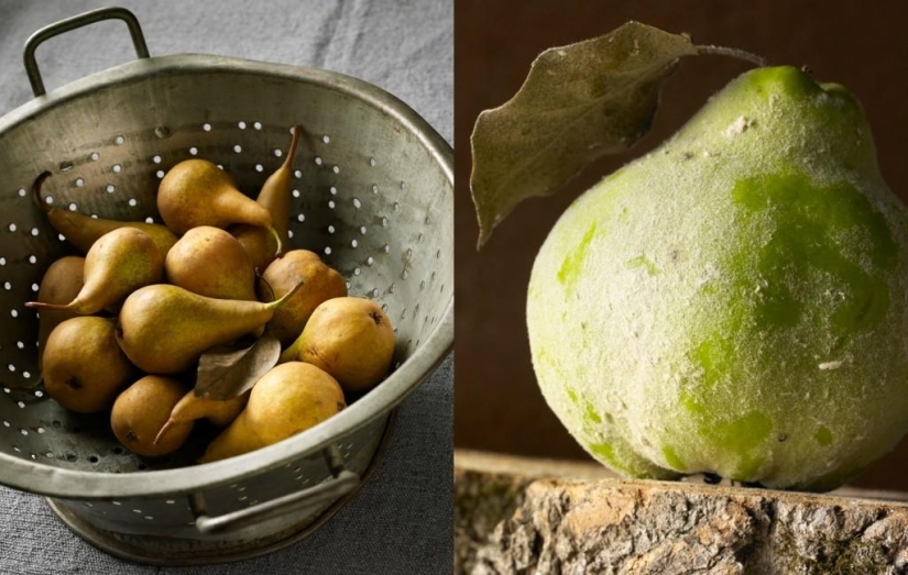 Tasty Still Life by Beth Galton Tasty Still Life by Beth Galton