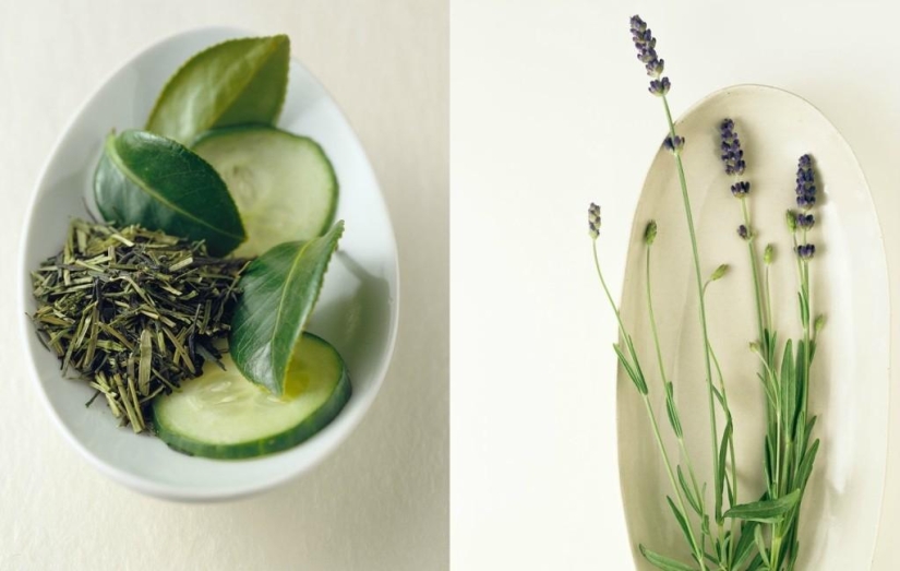 Tasty Still Life by Beth Galton Tasty Still Life by Beth Galton