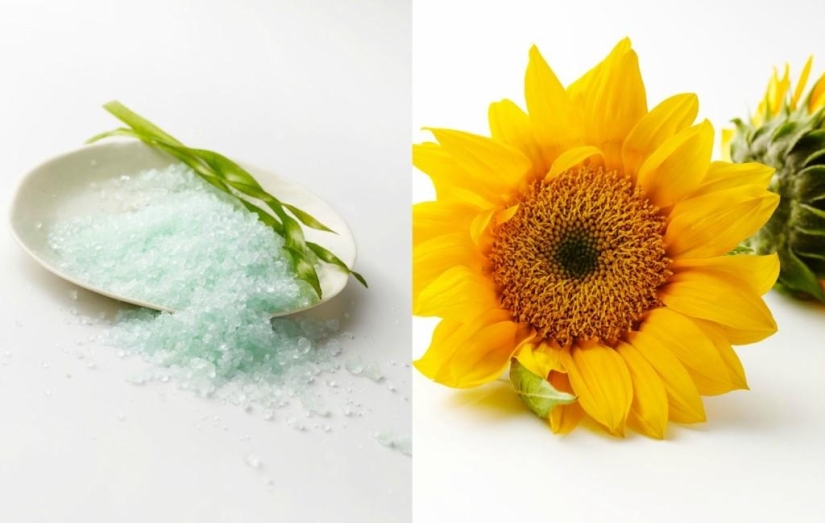 Tasty Still Life by Beth Galton Tasty Still Life by Beth Galton