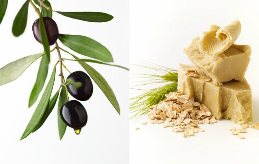 Tasty Still Life by Beth Galton Tasty Still Life by Beth Galton