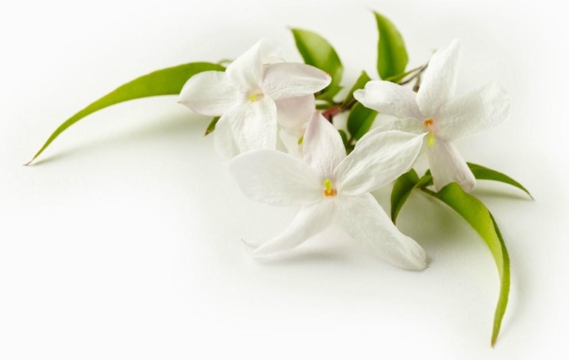 Tasty Still Life by Beth Galton Tasty Still Life by Beth Galton