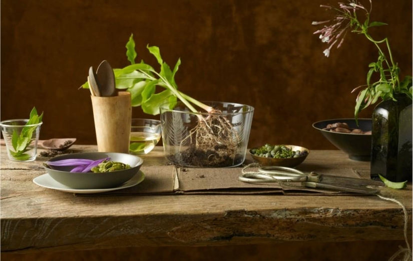 Tasty Still Life by Beth Galton Tasty Still Life by Beth Galton