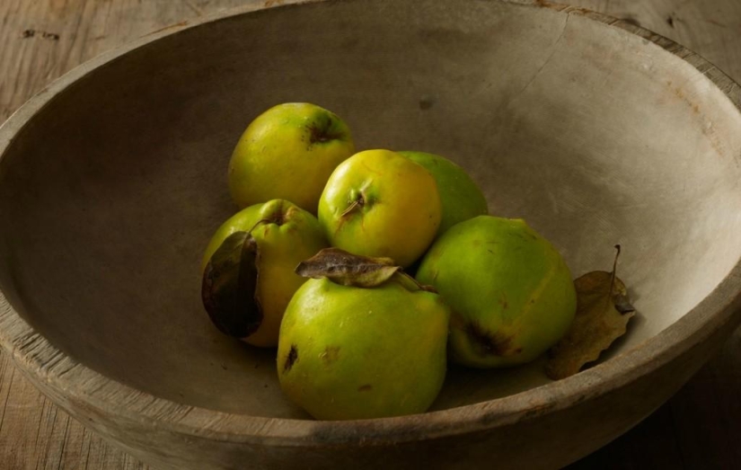 Tasty Still Life by Beth Galton Tasty Still Life by Beth Galton