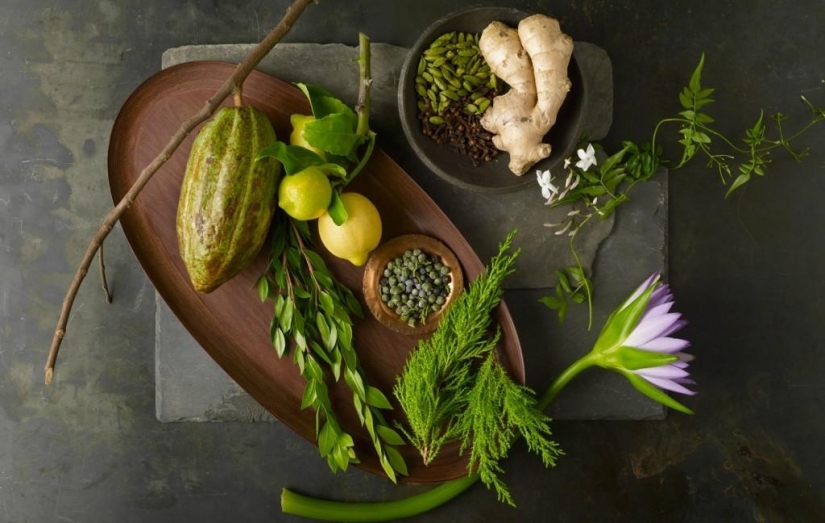 Tasty Still Life by Beth Galton Tasty Still Life by Beth Galton