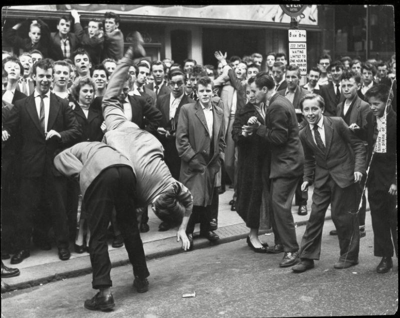 Teddy guys - hipsters and punks in one bottle Teddy guys - hipsters and punks in one bottle