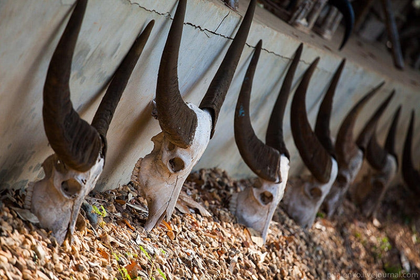Temple of Death. The black house of Baan Si Dum. Northern Thailand Temple of Death. The black house of Baan Si Dum. Northern Thailand