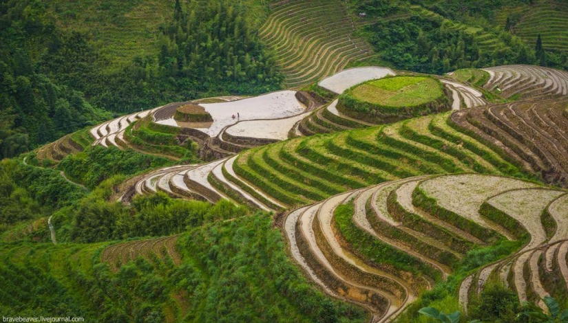 Terrazas de arroz en Longsheng Terrazas de arroz en Longsheng