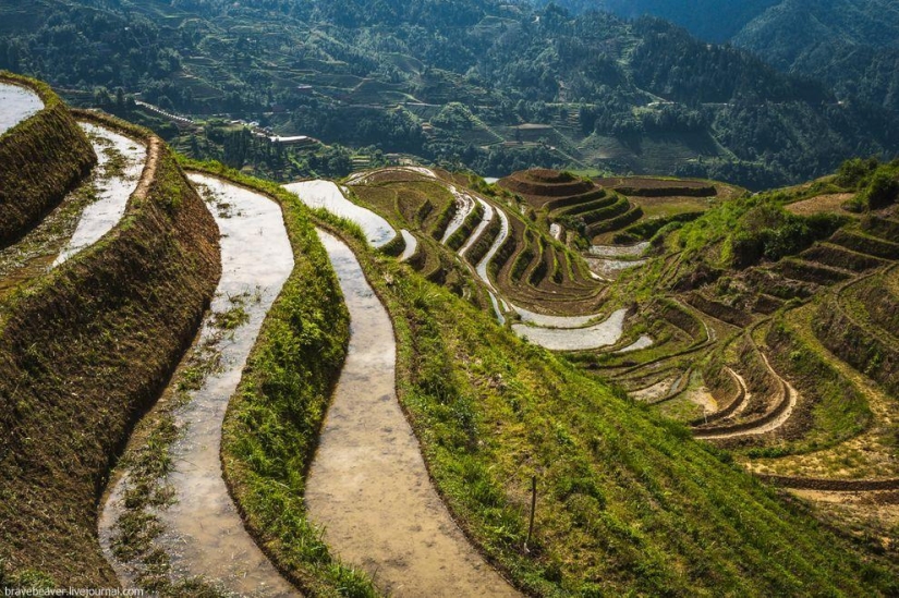 Terrazas de arroz en Longsheng Terrazas de arroz en Longsheng