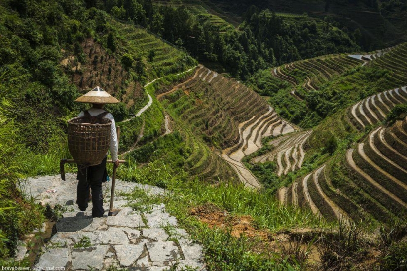 Terrazas de arroz en Longsheng Terrazas de arroz en Longsheng