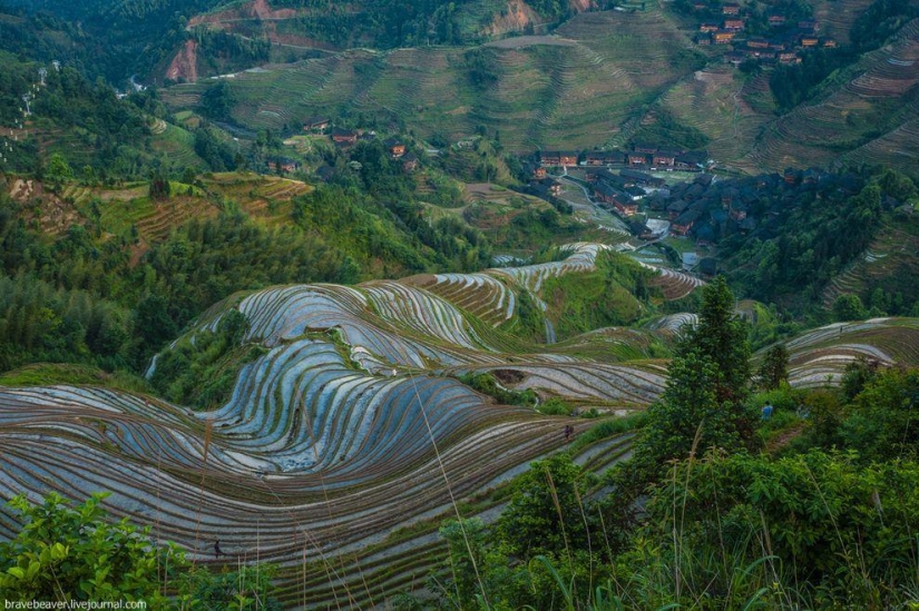 Terrazas de arroz en Longsheng Terrazas de arroz en Longsheng