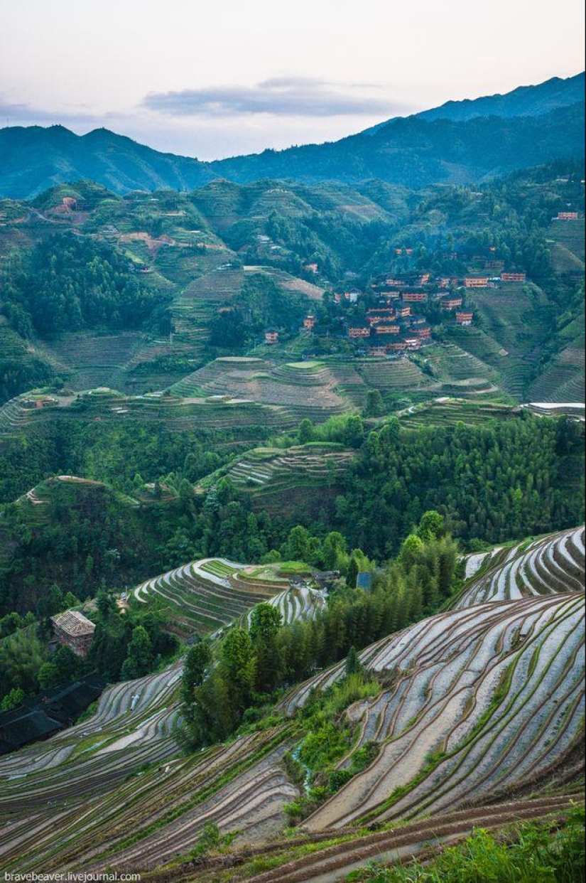 Terrazas de arroz en Longsheng Terrazas de arroz en Longsheng
