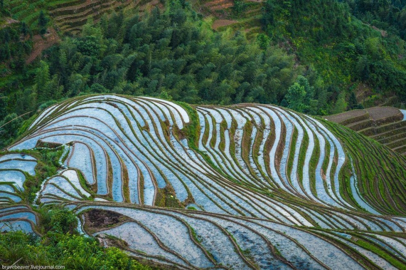 Terrazas de arroz en Longsheng Terrazas de arroz en Longsheng