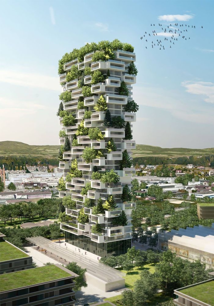 The 117-meter tower will be the first building in the world to be covered with evergreen trees. The 117-meter tower will be the first building in the world to be covered with evergreen trees.