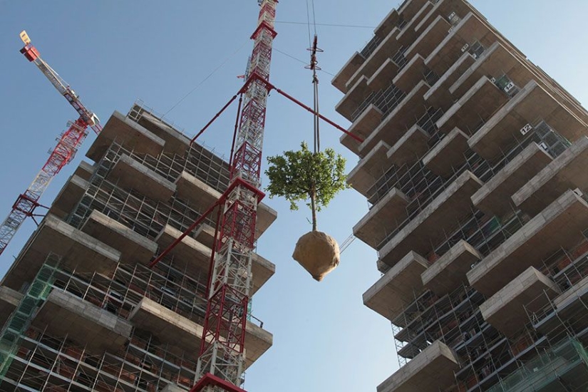 The 117-meter tower will be the first building in the world to be covered with evergreen trees. The 117-meter tower will be the first building in the world to be covered with evergreen trees.