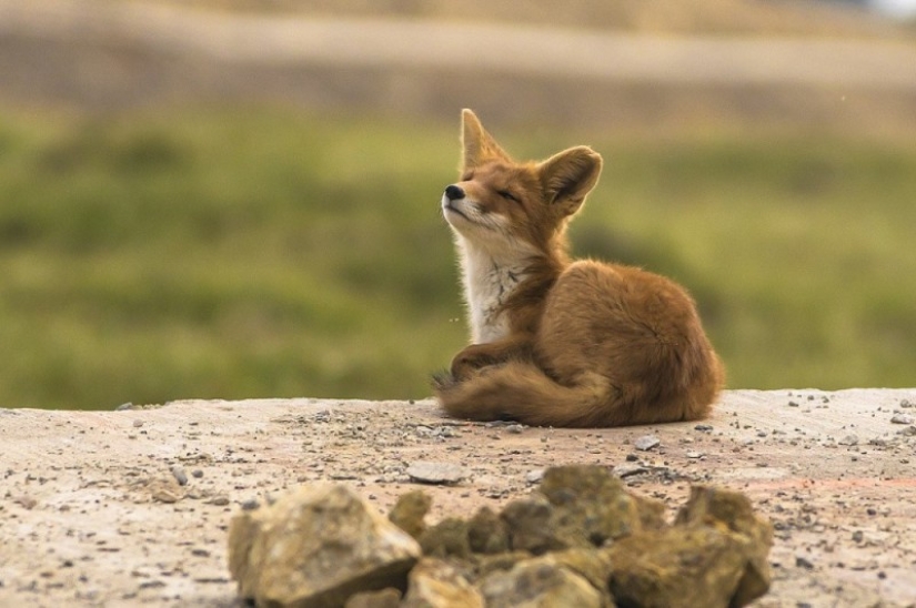 The 20 Best October Snapshots from National Geographic The 20 Best October Snapshots from National Geographic