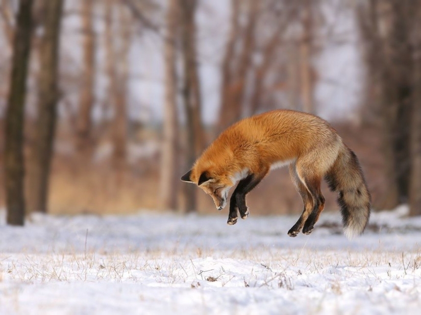 The 20 Best October Snapshots from National Geographic The 20 Best October Snapshots from National Geographic